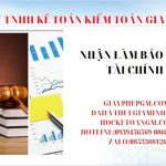 Nhận làm báo cáo tài chính ở Thành phố Hải Phòng 