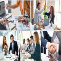 Thủ tục mở cửa hàng kinh doanh cây cảnh thành công