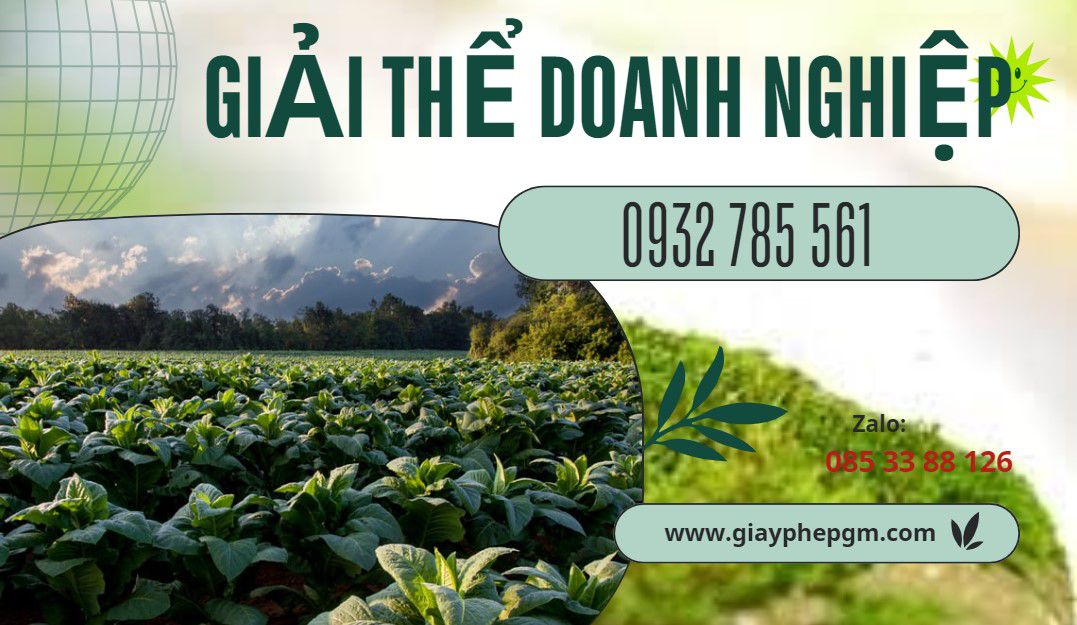 Thông tin chi phí dịch vụ giải thể công ty tại Thành phố Cần Thơ