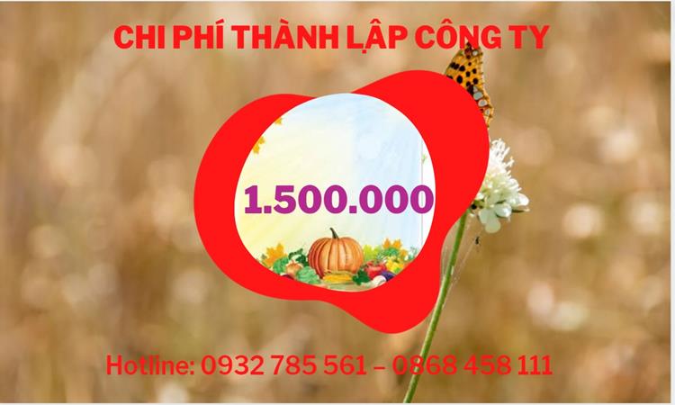 Chi phí thành lập công ty sản xuất hàng điện tử tại Kiên Giang 