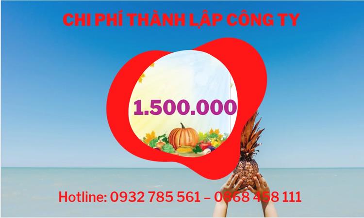 Chi phí thành lập công ty sản xuất hàng điện tử tại Ninh Bình 