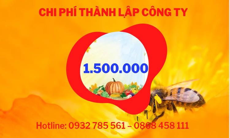 Chi phí thành lập công ty sản xuất hàng điện tử tại Quận Hải Châu 