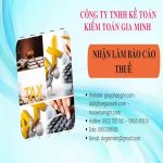 NHẬN LÀM BÁO CÁO THUẾ GIÁ RẺ TẠI ĐÀ NẴNG 6 Dịch vụ làm báo cáo thuế giá rẻ chất lượng tại Đà Nẵng