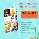 NHẬN LÀM BÁO CÁO THUẾ GIÁ RẺ TẠI TRÀ VINH 6 Dịch vụ làm báo cáo thuế giá rẻ chất lượng tại Trà Vinh