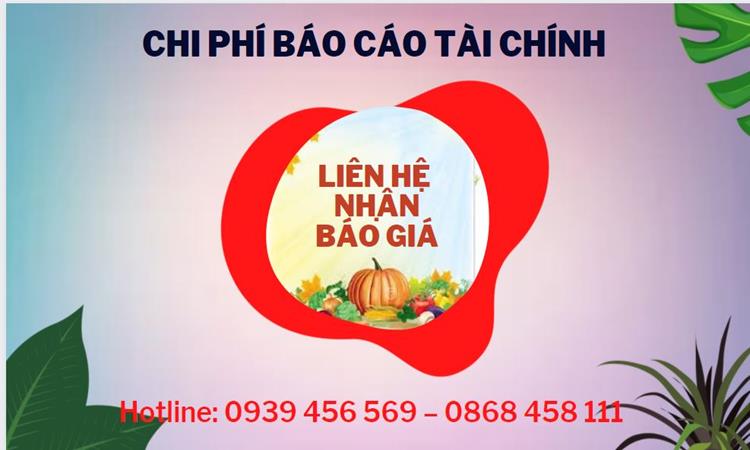 Nhận làm báo cáo thuế là một dịch vụ giá rẻ tại Thành phố Hồ Chí Minh 5 Dịch vụ Nhận làm báo cáo thuế hàng tháng giá rẻ tại Thành Phố Hồ Chí Minh
