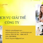 Quy trình giải thể công ty TNHH 2 thành viên trở lên tại Bình Định