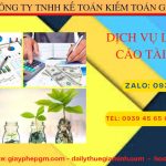 Báo cáo tài chính cuối năm tại Thành lập Hà Nội 8 Dịch vụ làm báo cáo thuế tại Thành Phố Hà Nội giá rẻ