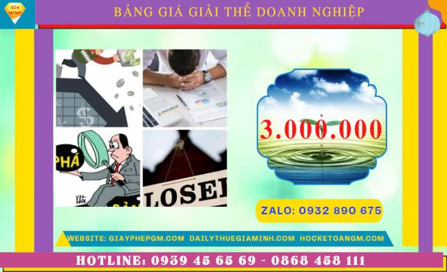 Giải thể doanh nghiệp nhanh hết bao nhiêu tiền tại Thành phố Hồ Chí Minh 