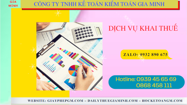 Dịch vụ báo cáo thuế - kế toán thuế trọn gói tại Hòa Bình