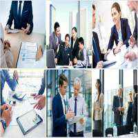 Dịch vụ làm báo cáo thuế hàng tháng tại TP Hồ Chí Minh
