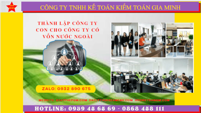 THÀNH LẬP CÔNG TY CON CÓ VỐN ĐẦU TƯ NƯỚC NGOÀI TẠI BÌNH ĐỊNH 6 Hướng dẫn thành lập công ty con có vốn đầu tư nước ngoài tại Bình Định