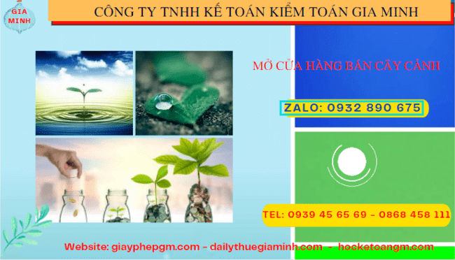 Mở cửa hàng bán cây cảnh tại Cao Bằng 6 Kinh nghiệm mở cửa hàng bán cây cảnh tại Cao Bằng