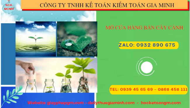Mở cửa hàng bán cây cảnh tại Đà Nẵng 6 Kinh nghiệm mở cửa hàng bán cây cảnh tại Đà Nẵng