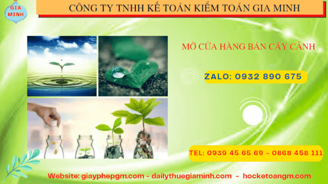 Mở cửa hàng bán cây cảnh tại Đồng Tháp 6 Kinh nghiệm mở cửa hàng bán cây cảnh tại Đồng Tháp