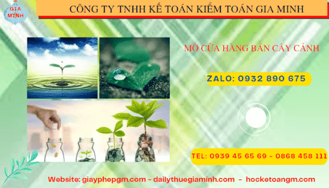 Mở cửa hàng bán cây cảnh tại Hòa Bình 6 Kinh nghiệm mở cửa hàng bán cây cảnh tại Hòa Bình