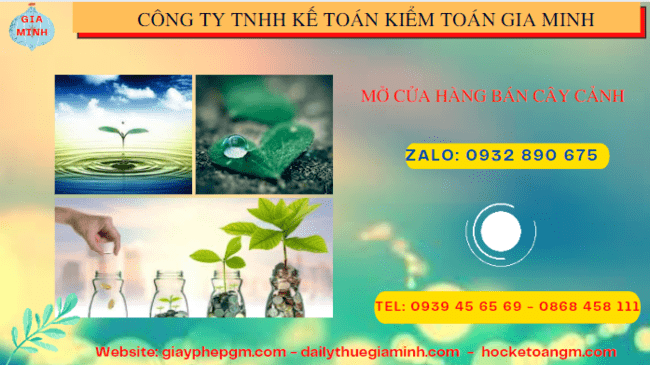 Mở cửa hàng bán cây cảnh tại Lạng Sơn 6 Kinh nghiệm mở cửa hàng bán cây cảnh tại Lạng Sơn