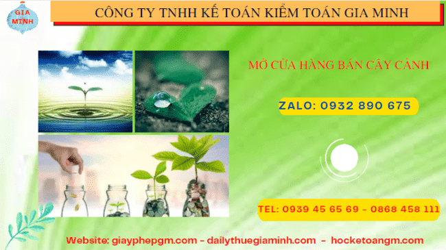 Mở cửa hàng bán cây cảnh tại Thái Nguyên 6 Kinh nghiệm mở cửa hàng bán cây cảnh tại Thái Nguyên