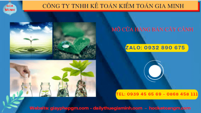 Mở cửa hàng bán cây cảnh tại TPHCM 6 Kinh nghiệm mở cửa hàng bán cây cảnh tại TPHCM