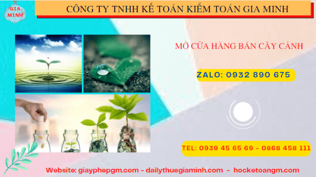 Mở cửa hàng bán cây cảnh tại Yên Bái 6 Kinh nghiệm mở cửa hàng bán cây cảnh tại Yên Bái