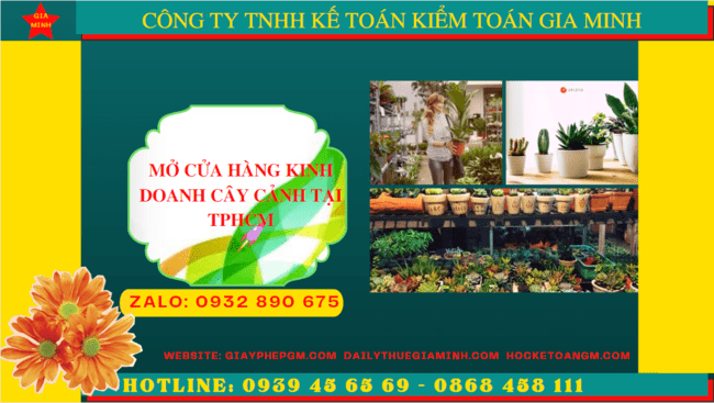 MỞ CỬA HÀNG KINH DOANH CÂY CẢNH TẠI TPHCM 6 giayphepgm.com kinh nghiem mo cua hang kinh doanh cay canh tai thanh pho ho chi minh