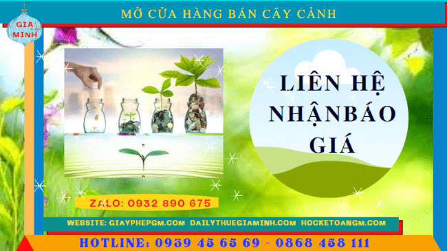 Mở cửa hàng bán cây cảnh tại Bình Định 5 Mở cửa hàng kinh doanh cây cảnh tại Bình Định hết bao nhiêu tiền