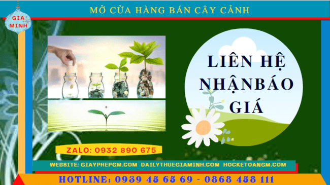 Mở cửa hàng bán cây cảnh tại Cao Bằng 5 Mở cửa hàng kinh doanh cây cảnh tại Cao Bằng hết bao nhiêu tiền