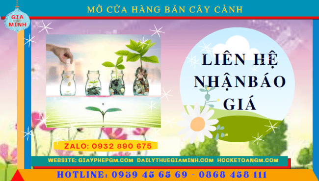 Mở cửa hàng bán cây cảnh tại Đà Nẵng 5 Mở cửa hàng kinh doanh cây cảnh tại Đà Nẵng hết bao nhiêu tiền
