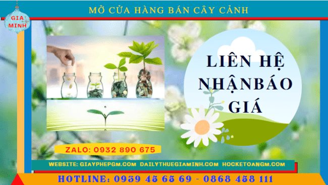 Mở cửa hàng bán cây cảnh tại Đồng Tháp 5 Mở cửa hàng kinh doanh cây cảnh tại Đồng Tháp hết bao nhiêu tiền