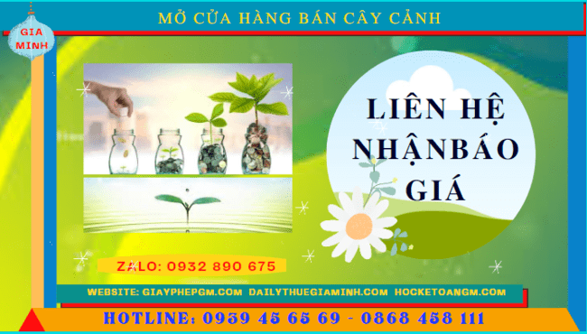 Mở cửa hàng bán cây cảnh tại Hòa Bình 5 Mở cửa hàng kinh doanh cây cảnh tại Hòa Bình hết bao nhiêu tiền