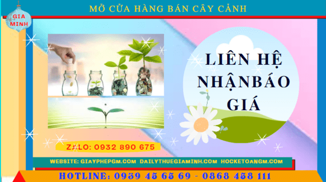 Mở cửa hàng bán cây cảnh tại Thành Phố Hồ Chí Minh 5 Mở cửa hàng kinh doanh cây cảnh tại Thành Phố Hồ Chí Minh hết bao nhiêu tiền