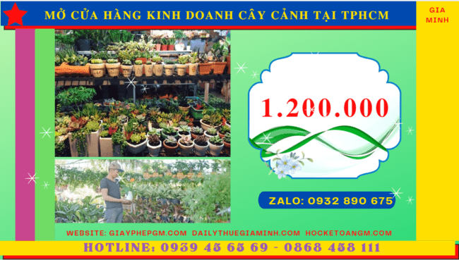 MỞ CỬA HÀNG KINH DOANH CÂY CẢNH TẠI TPHCM 5 giayphepgm.com mo cua hang kinh doanh cay canh tai thanh pho ho chi minh het bao nhieu tien