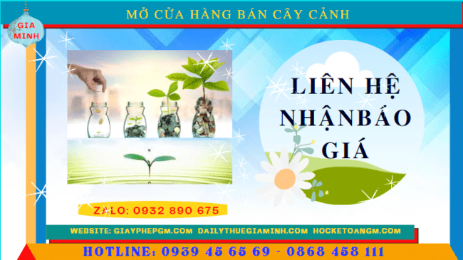 Mở cửa hàng bán cây cảnh tại TPHCM 5 Mở cửa hàng kinh doanh cây cảnh tại TPHCM hết bao nhiêu tiền