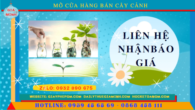 Mở cửa hàng bán cây cảnh tại Yên Bái 5 Mở cửa hàng kinh doanh cây cảnh tại Yên Bái hết bao nhiêu tiền