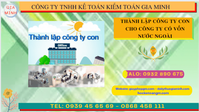 THÀNH LẬP CÔNG TY CON CÓ VỐN ĐẦU TƯ NƯỚC NGOÀI TẠI BÌNH ĐỊNH 4 Quy trình thành lập công ty con có vốn đầu tư nước ngoài tại Bình Định