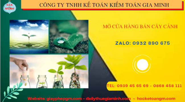 Mở cửa hàng bán cây cảnh tại Bình Định 4 Thành lập công ty mua bán cây cảnh tại Bình Định
