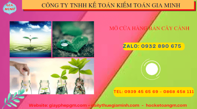 Mở cửa hàng bán cây cảnh tại Cao Bằng 4 Thành lập công ty mua bán cây cảnh tại Cao Bằng
