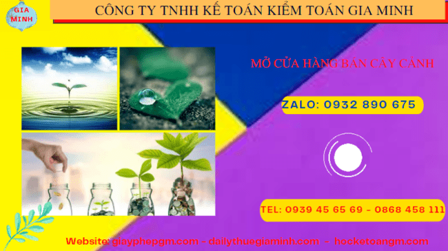 Mở cửa hàng bán cây cảnh tại Đà Nẵng 4 Thành lập công ty mua bán cây cảnh tại Đà Nẵng