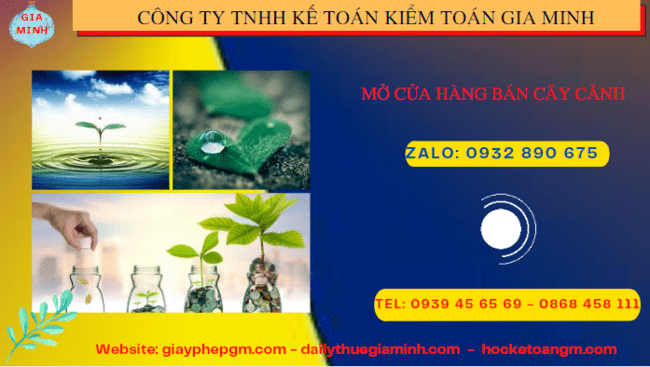 Mở cửa hàng bán cây cảnh tại Đồng Tháp 4 Thành lập công ty mua bán cây cảnh tại Đồng Tháp