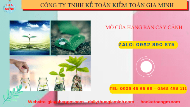 Mở cửa hàng bán cây cảnh tại Hòa Bình 4 Thành lập công ty mua bán cây cảnh tại Hòa Bình