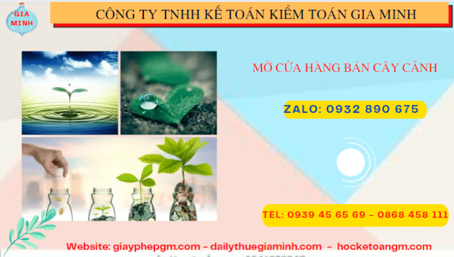 Mở cửa hàng bán cây cảnh tại Lạng Sơn 4 Thành lập công ty mua bán cây cảnh tại Lạng Sơn