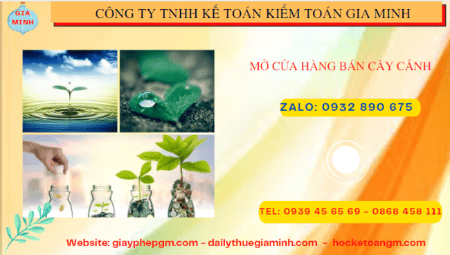 Mở cửa hàng bán cây cảnh tại Thái Nguyên 4 Thành lập công ty mua bán cây cảnh tại Thái Nguyên