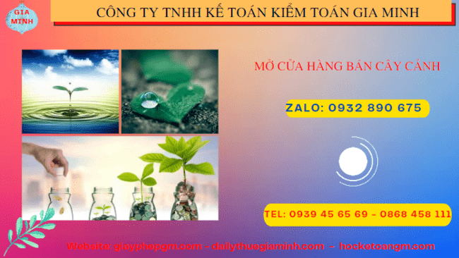 Mở cửa hàng bán cây cảnh tại Thành Phố Hồ Chí Minh 4 Thành lập công ty mua bán cây cảnh tại Thành Phố Hồ Chí Minh