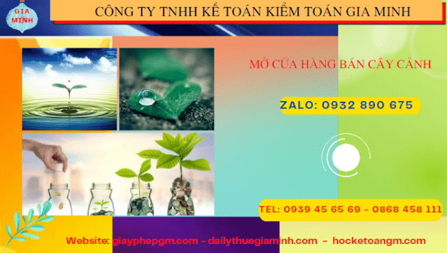 Mở cửa hàng bán cây cảnh tại TPHCM 4 Thành lập công ty mua bán cây cảnh tại TPHCM