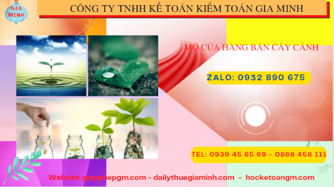Mở cửa hàng bán cây cảnh tại Yên Bái 4 Thành lập công ty mua bán cây cảnh tại Yên Bái