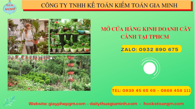 MỞ CỬA HÀNG KINH DOANH CÂY CẢNH TẠI TPHCM 4 Mở cửa hàng kinh doanh cây cảnh tại TPHCM