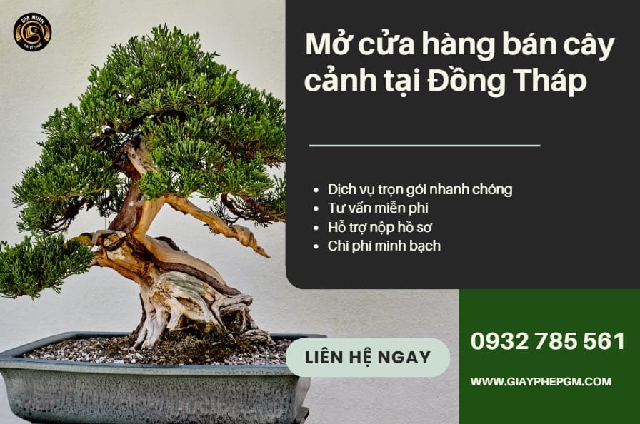 Mở cửa hàng bán cây cảnh tại Đồng Tháp