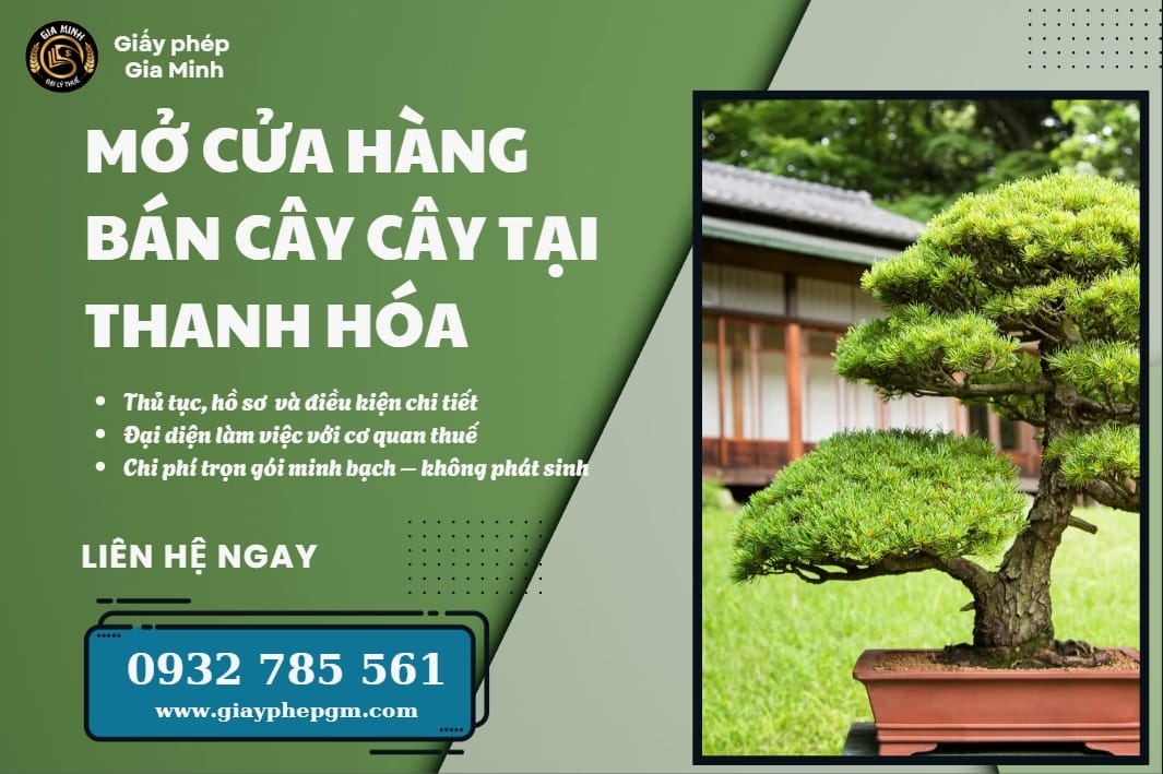 Hướng dẫn mở cửa hàng bán cây cảnh tại Thanh Hóa