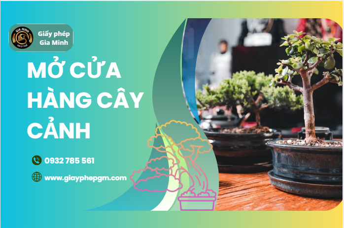 Mở Cửa Hàng Bán Cây Cảnh Tại Quảng Trị – Thủ Tục, Kinh Nghiệm Và Giấy Phép Cần Thiết 4 Thành lập công ty mua bán cây cảnh tại Quảng Trị