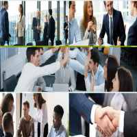 Lý do giải thể công ty là gì?