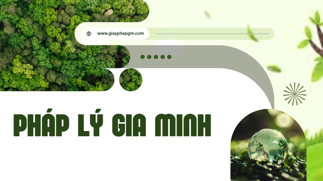 Thành lập công ty chuyển phát nhanh: Thủ tục, chi phí, kinh nghiệm kinh doanh từ A-Z 11 Dự án thành lập công ty chuyển phát nhanh